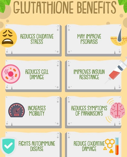 What is the mechanism by which antioxidant glutathione maintains mitochondrial health?