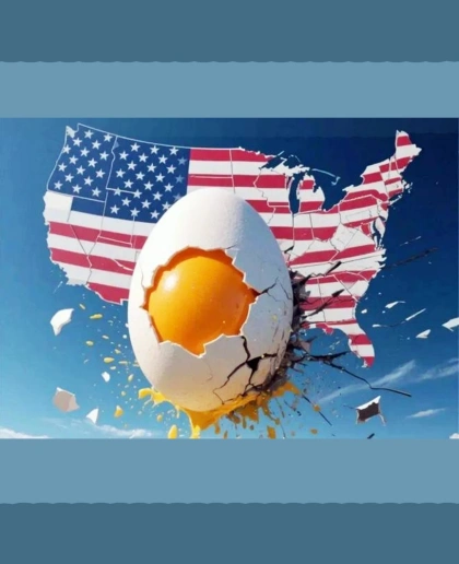 The shortage of eggs in the United States